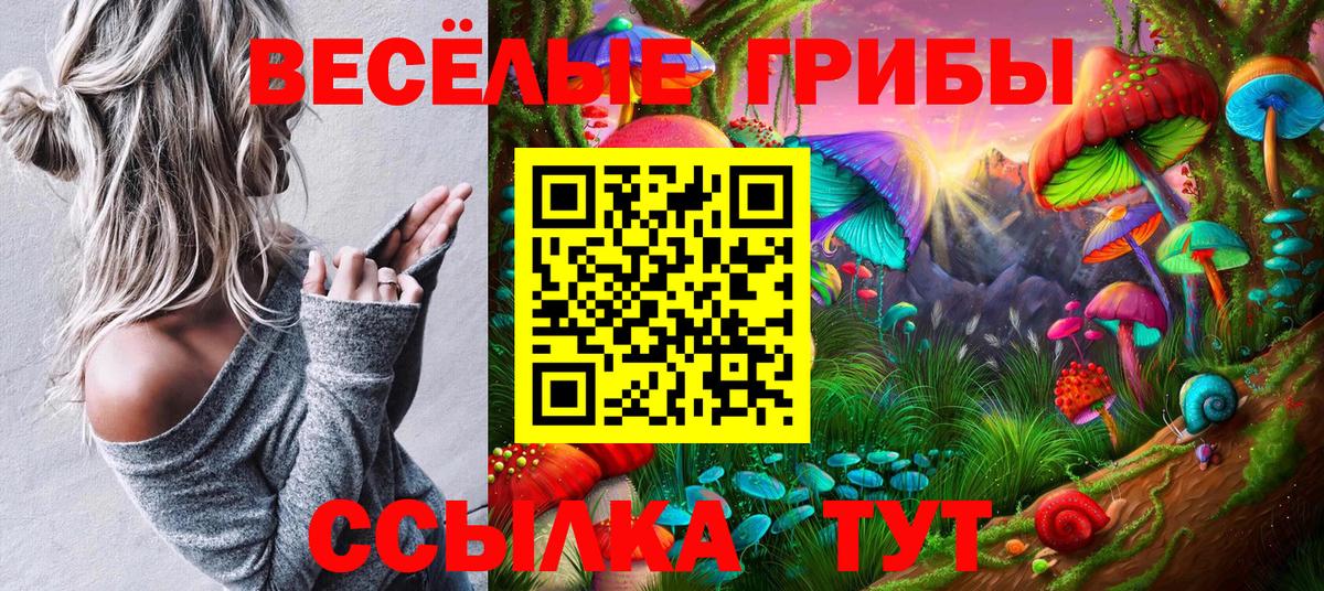 Галлюциногенные грибы Cubensis Мариинск